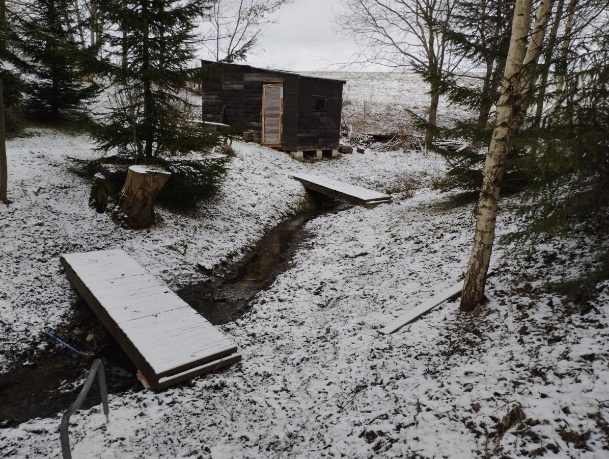 Garden House Nad Jeziorem Szelment Przejma Wielka Bagian luar foto
