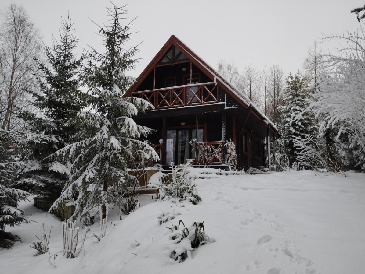 Garden House Nad Jeziorem Szelment Przejma Wielka Bagian luar foto
